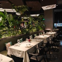 BIANCHI PLUS白安其(环球金融中心店) User Photo