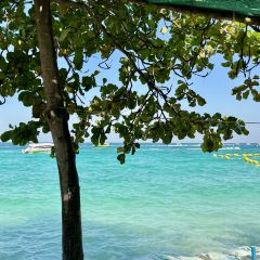 Tutu Beach User Photo