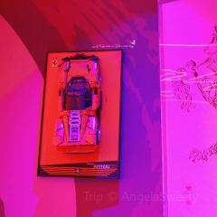 MAX SHANGHAI User Photo