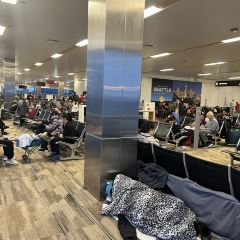 Dish D'lish User Photo