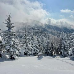 Yokote Sancho Hutte Kumo No Ue No Restaurant 여행 사진