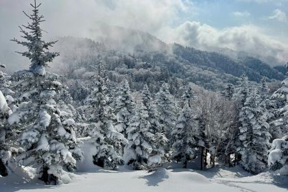 Yokote Sancho Hutte Kumo No Ue No Restaurant