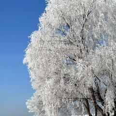 金秋鱼餐馆 User Photo