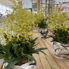 Sanshi Restaurant User Photo