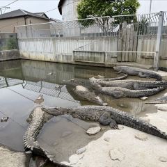 食堂 光張用戶圖片