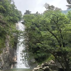 天堂古寨度假酒店·自助餐厅 User Photo