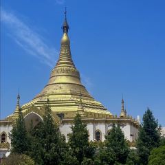 LONG LIN LU DI YI GU NIU ROU SHANG User Photo