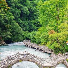 梅子山庄·土司宴 User Photo