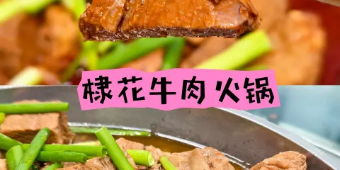 棣花牛肉火鍋