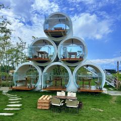 云里小坐·海泉湾·团建·聚会·下午茶(金堂海泉湾店) User Photo