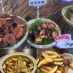 菌彩·非遺野生菌火鍋張用戶圖片