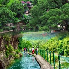 PAN PO FAN DIAN User Photo