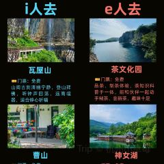 南山一品酒樓張用戶圖片