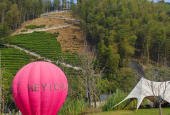 安吉竹仙湖君澜庄园·桃源轩 User Photo