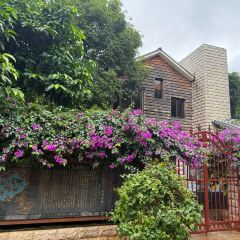 CHEN NIANG NIANG User Photo