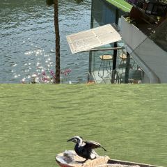 西湖驰名艇仔粥 User Photo