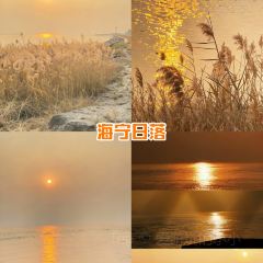 紫薇冷饮(桐乡店) User Photo