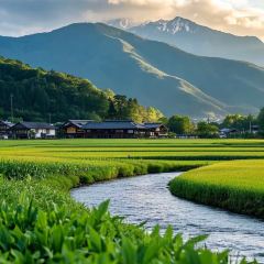 Mountain Restaurant張用戶圖片