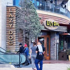 Lazy Dog Restaurant & Bar User Photo
