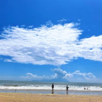 大鍋強·蒸海鮮青島菜（上流滙店）用戶圖片