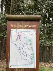 Kuilong Mountain Forest Park