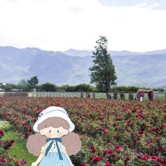 听花谷餐厅 User Photo