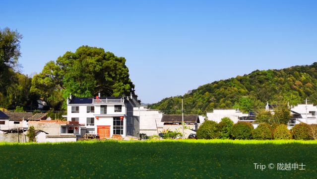 Peach Blossom Village