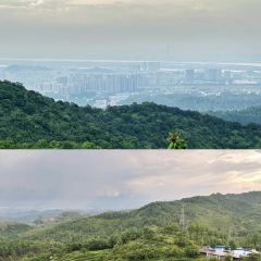茶山天然居 User Photo