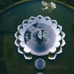 北海餐厅 User Photo
