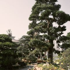 chill cafe User Photo