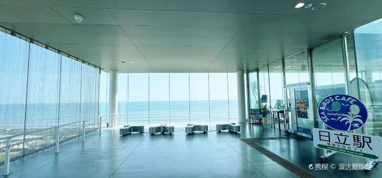 海鳥咖啡館