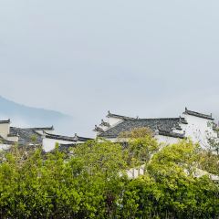 宏村得月楼(月沼店) User Photo