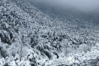 梦月山庄中餐厅