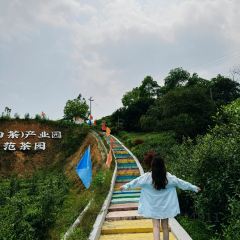 北市场牛肉丸(中山中路店) User Photo