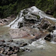 龙山餐厅 User Photo