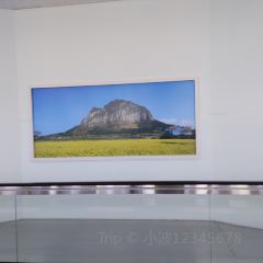 Moljil Restaurant User Photo