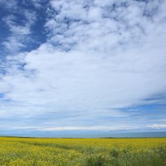 乌素特水上雅丹梦幻星空野奢度假酒店·雅丹之夜 User Photo