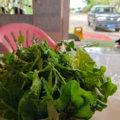 梁城椰子鸡排档 User Photo