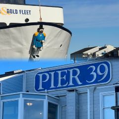 Tatte Bakery & Cafe User Photo