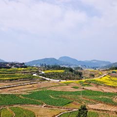 阿古吉缅甸茶餐厅 User Photo