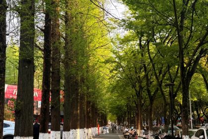 慢焙（金鷹天地店）