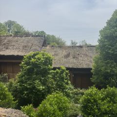 Ahnluh Guantang · All-Day Restaurant User Photo