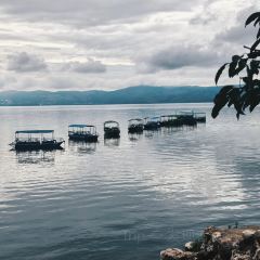 抚仙湖大知闲闲民宿·掌间 User Photo