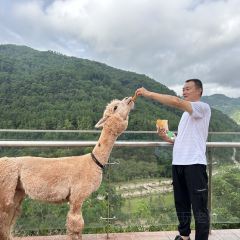 老美烧烤 User Photo