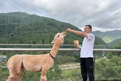 老美烧烤