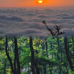 Guo hua san guan User Photo