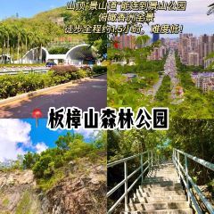 YES!NIGHT STALL User Photo