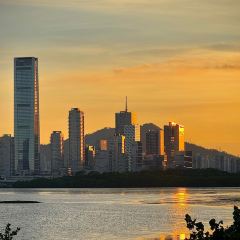 老顾客煲仔饭(蛇口店) User Photo