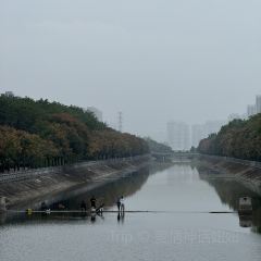 ZHENG XI WANG User Photo