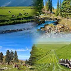 牧羊爷爷·新疆文化菜 User Photo